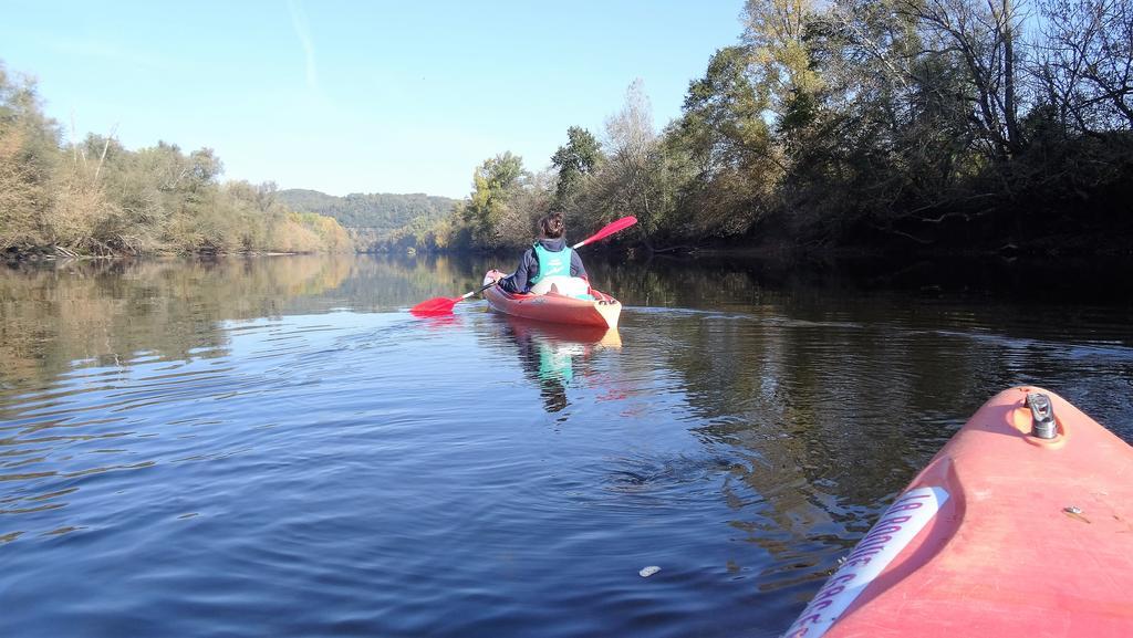 Au Pied Du Chateau - 5 A 11 Personnes - Baignade-Canoe-Piste Cyclable A 100 M Castelnaud La Chapelle Exterior photo